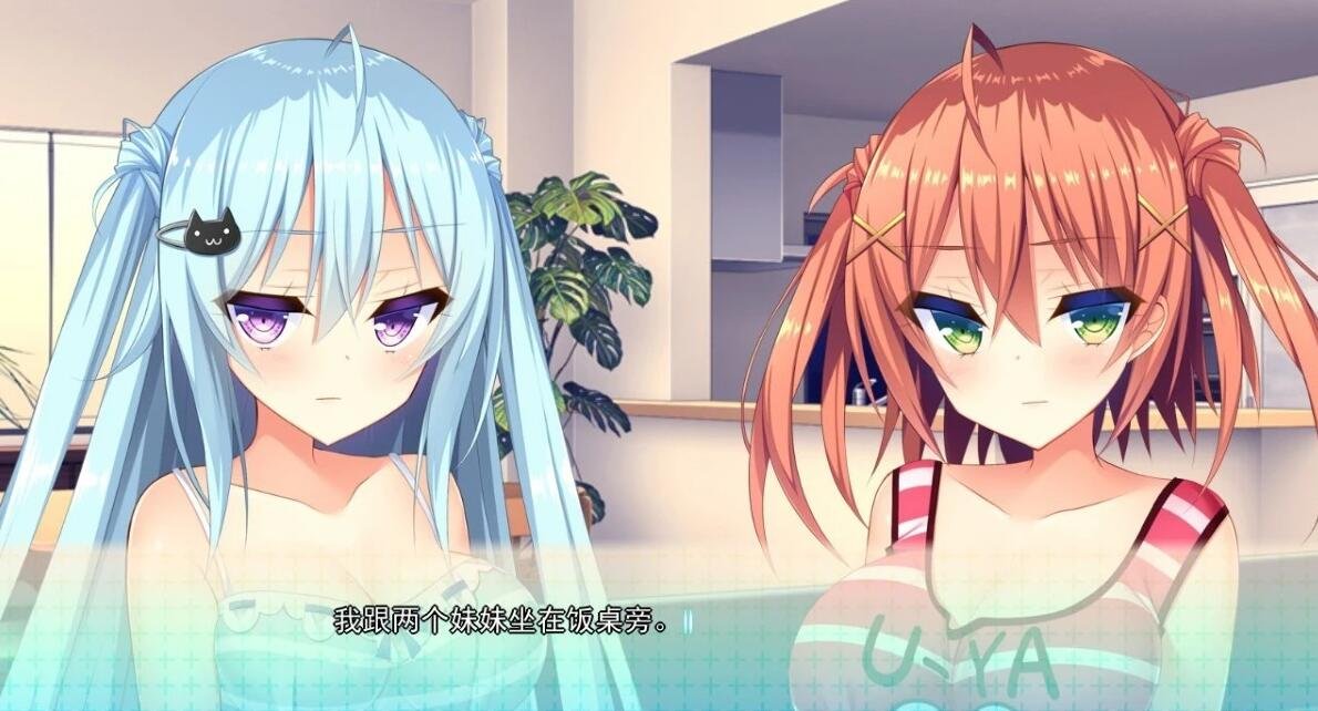 如胶似漆双胞胎 精翻汉化硬盘版【1.7G】