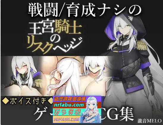 王宫骑士的决心 王宮騎士のリスクヘッジ Mtool汉化版[1.02G]